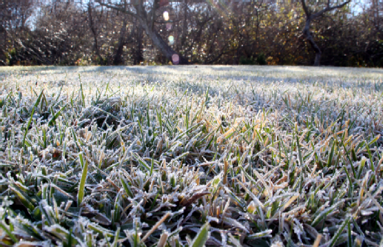 3 Mid-Winter Lawn Care Tips - R&D Lawn Care and Landscaping
