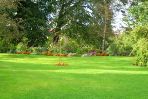 Lawn Aeration Joplin MO