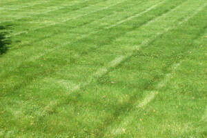 Lawn Aeration Joplin MO