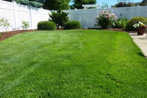 Lawn Aeration Joplin MO