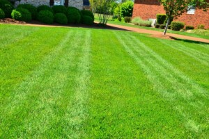 Lawn Aeration Joplin MO