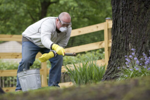 Lawn Fertilizing Joplin MO