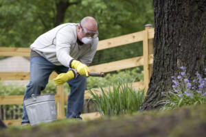 Lawn Fertilizing Joplin MO