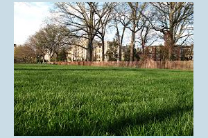 Lawn Fertilizing Joplin MO