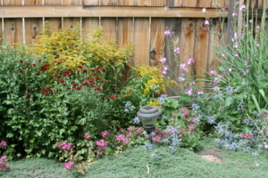 Planting Landscaping Joplin MO