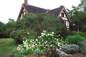 Planting Landscaping Joplin MO