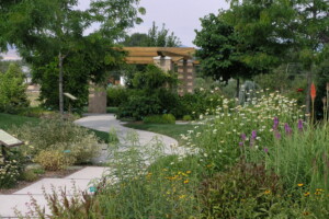 Planting Landscaping Joplin MO