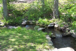 Water Features Fountains Joplin MO