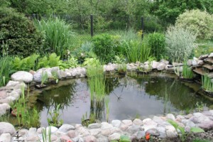 Water Features Fountains Joplin MO