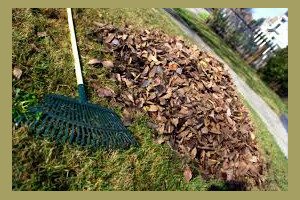 Leaf Removal Joplin MO