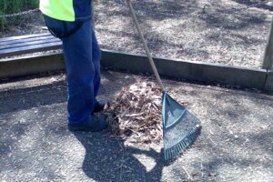 Leaf Removal Joplin MO