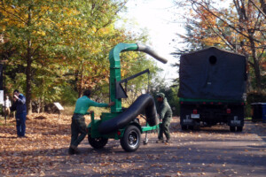 Leaf Removal Joplin MO