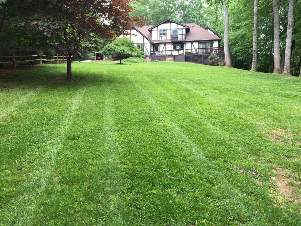 r-and-d-residential-lawn-care