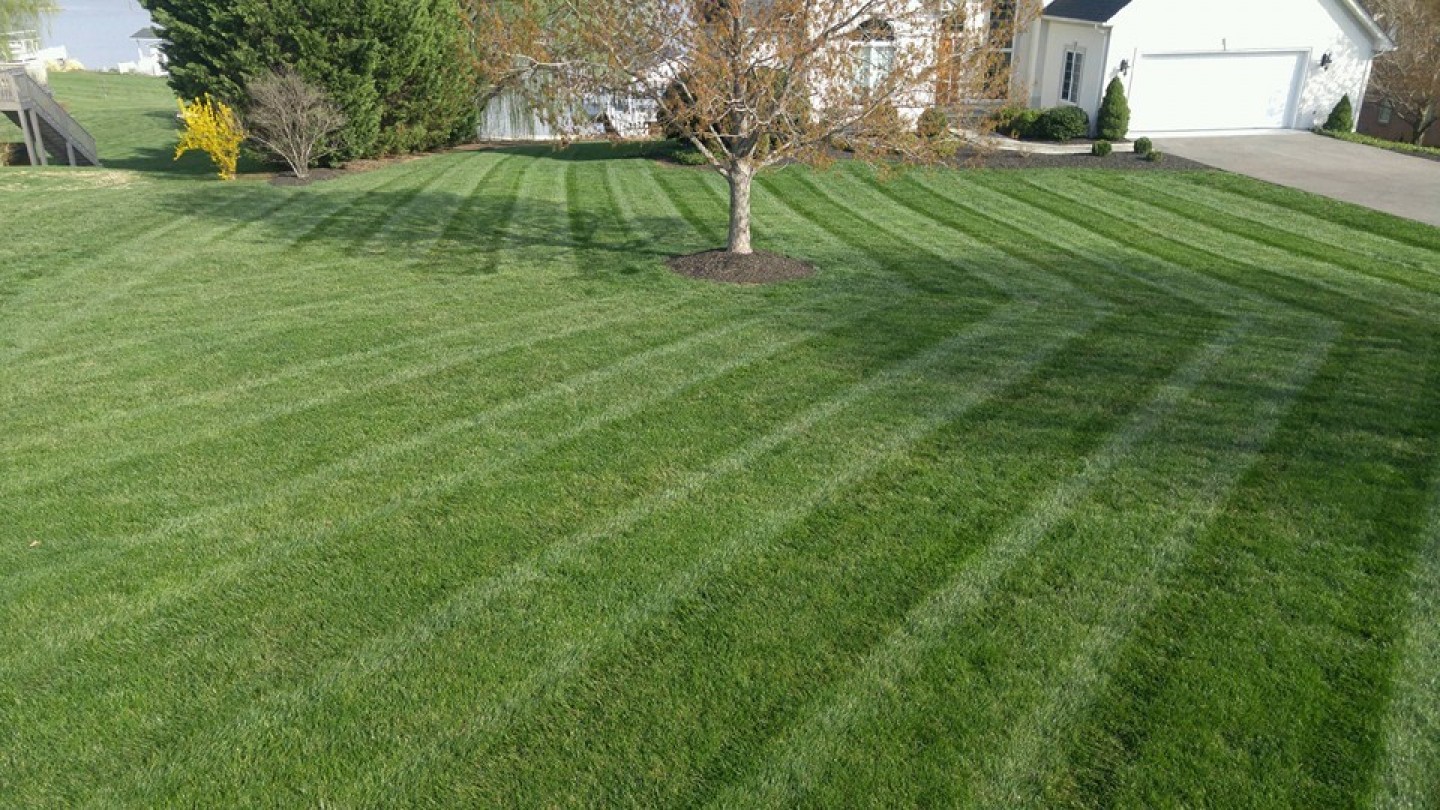 r-and-d-residential-lawn-care-sod